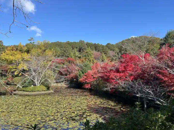 龍安寺(京都府)