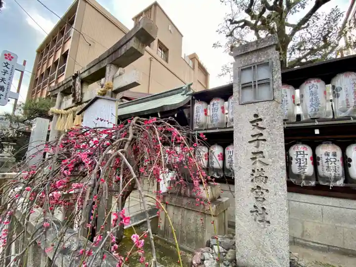 文子天満宮の自然