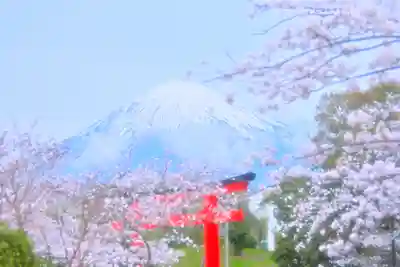 富士山本宮浅間大社(静岡県)