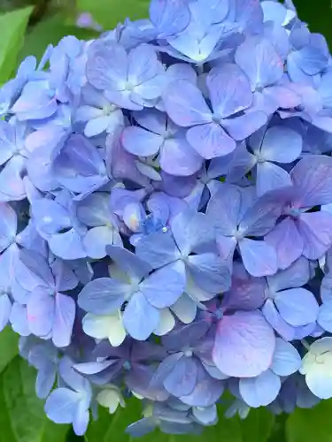 開成山大神宮(福島県)