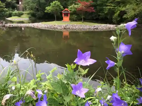 浄瑠璃寺の自然