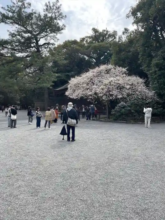 熱田神宮(愛知県)