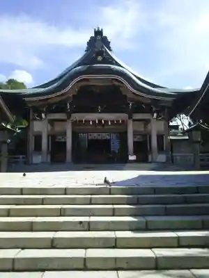 亀山八幡宮の本殿・本堂