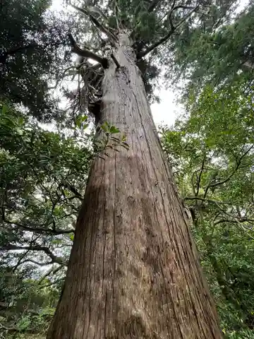 八雲神社(千葉県)