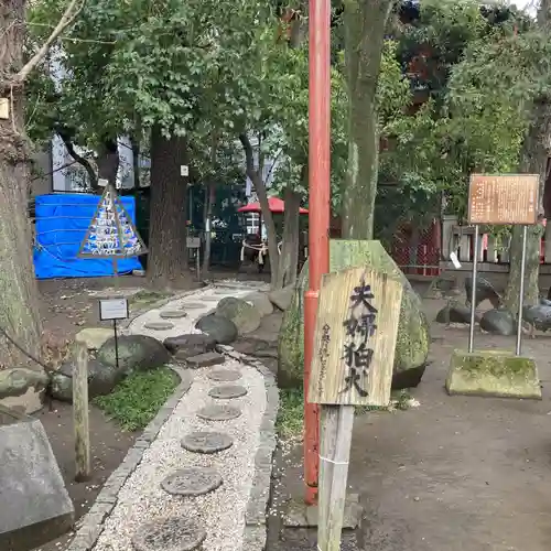 浅草神社の狛犬