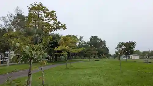 柳彩釧路浅間神社の自然