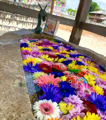 金井神社の手水舎