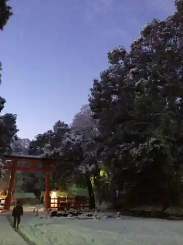 賀茂御祖神社（下鴨神社）の景色