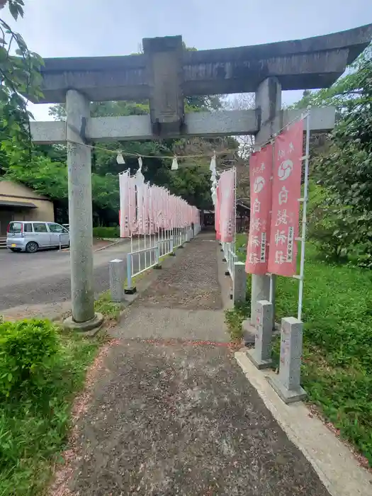 白髭神社の鳥居