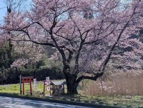 宇賀神さま(福島県)