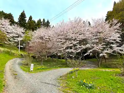戸隠神社の自然