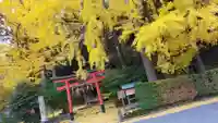 岩戸落葉神社の鳥居