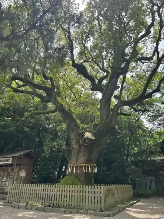 熱田神宮(愛知県)