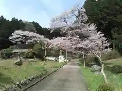 高源寺の自然