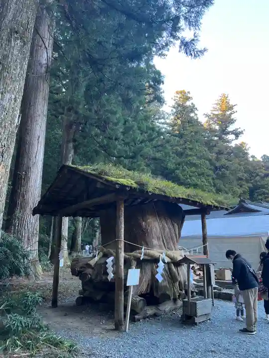 小國神社の自然