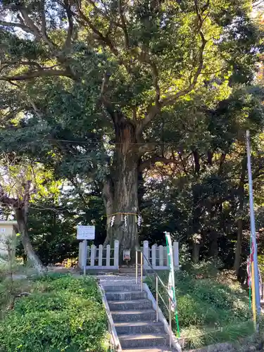 石作神社(愛知県)
