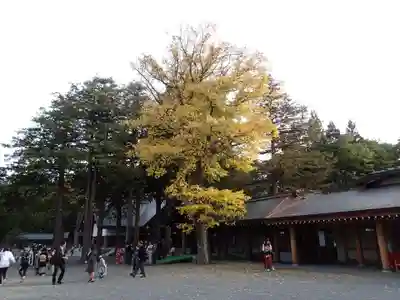 北海道神宮のその他建物