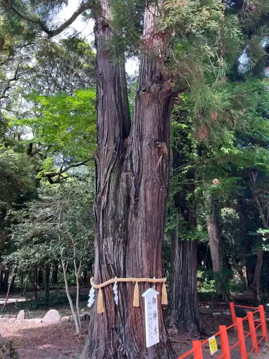 息栖神社(茨城県)