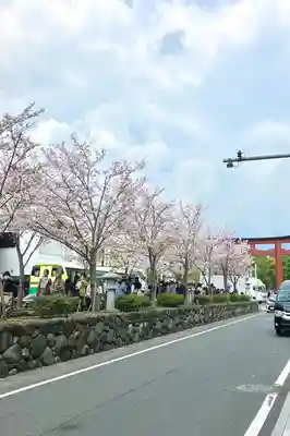 鶴岡八幡宮(神奈川県)