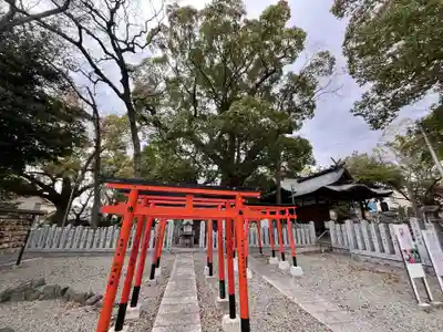 信太森神社（葛葉稲荷神社）(大阪府)
