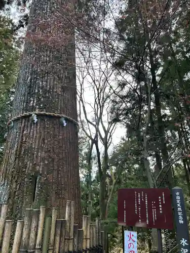水澤寺(水澤観世音)(群馬県)