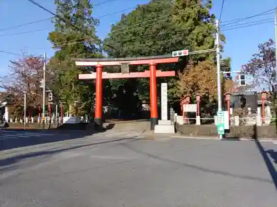 一瓶塚稲荷神社の鳥居