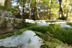 神田神社の自然