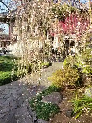 圓照寺(東京都)