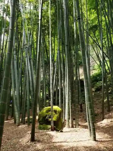 日蓮宗 総本山 塔頭 定林坊(じょうりんぼう)の景色