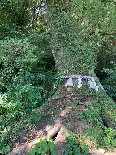 立磐神社の自然