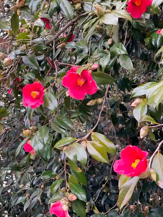 都波岐奈加等神社の自然