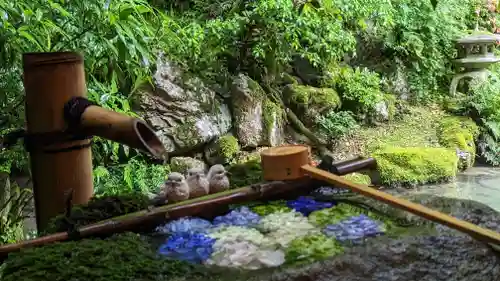 柳谷観音　楊谷寺(京都府)