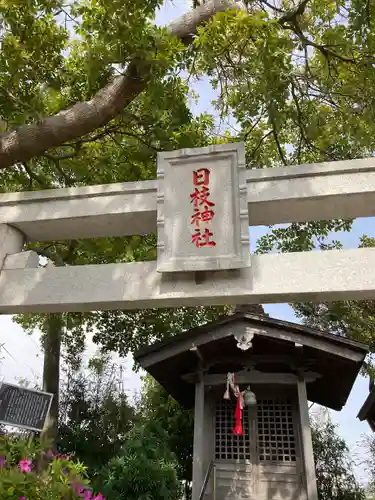 日枝神社(神奈川県)