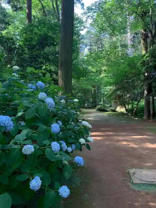 飯高寺(千葉県)