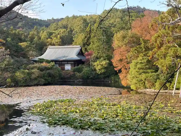 龍安寺(京都府)