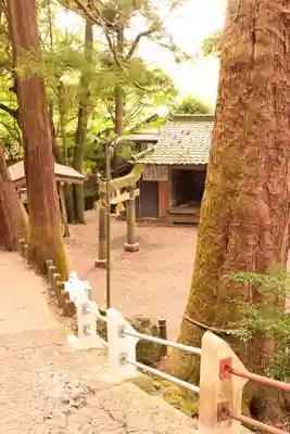 天祖神社の鳥居