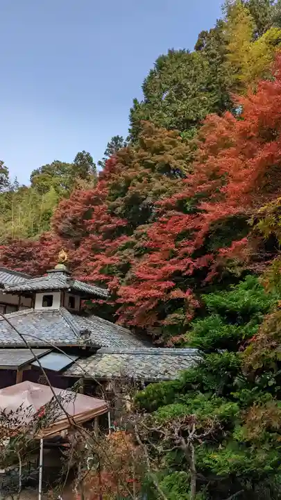 山科聖天 雙林院(双林院) (京都府)