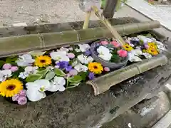 犀川神社(石川県)