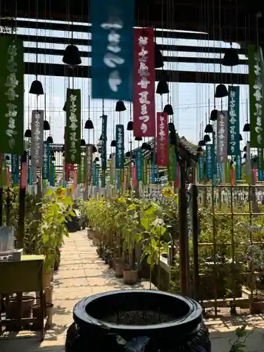 おふさ観音（観音寺）(奈良県)