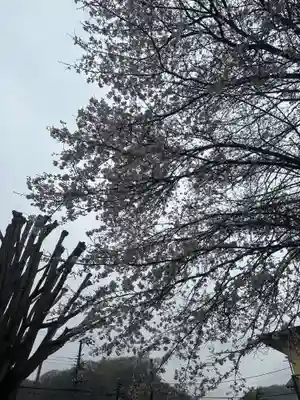 祐照庵 大戸観音堂(東京都)