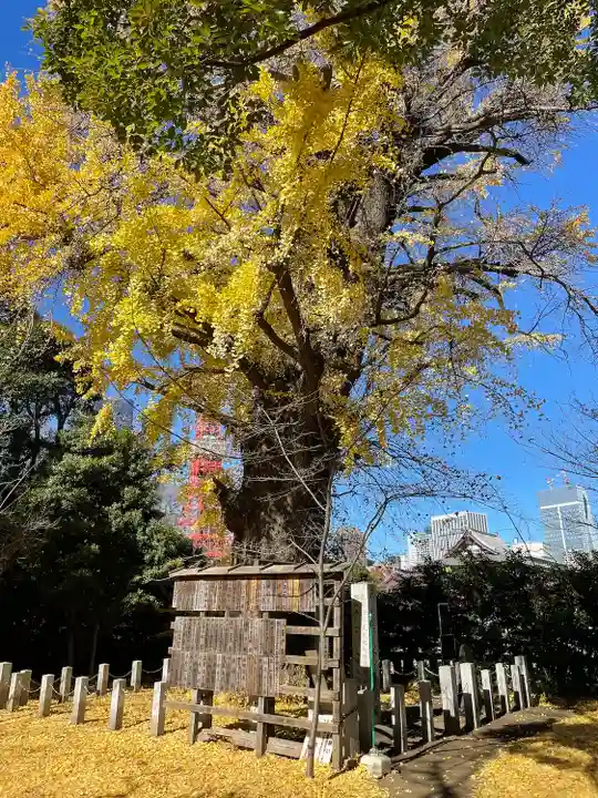 芝東照宮の自然
