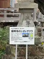 円明寺(愛知県)