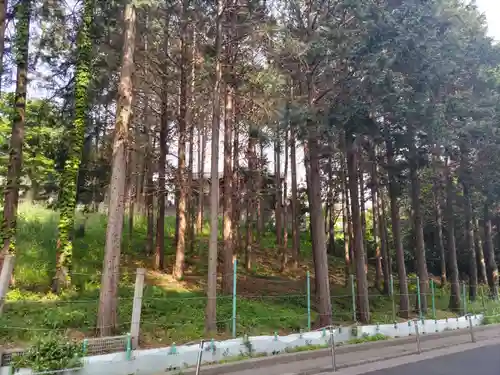 前原御嶽神社の自然