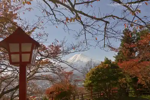 新倉山浅間公園忠霊塔の景色