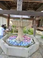 三室戸寺の手水