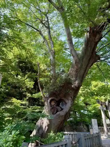 青渭神社(東京都)