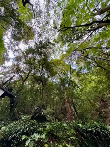 多度大社(三重県)