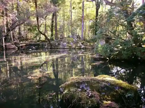 天授庵の庭園