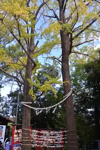 多摩川浅間神社(東京都)