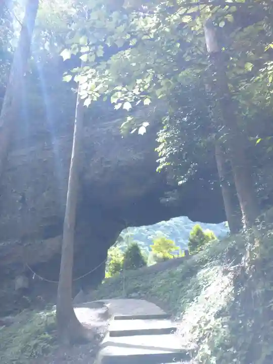 上色見熊野座神社の自然